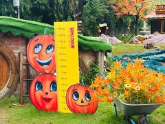 -HERRE·FARM 赫尔露营农场·团建聚会包场