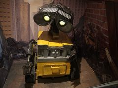 -信不信由你博物馆