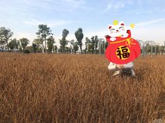 -汉江湾体育公园
