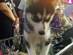 -中北世纪城夜市小吃街CENURY CITY