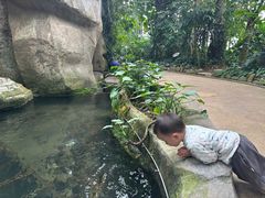 -南山植物园