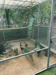 -萌宠亲子动物乐园(槐房万达店)