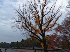 -京都御所