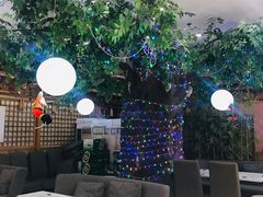-红叶日料·放题·海胆·定食(星海店)