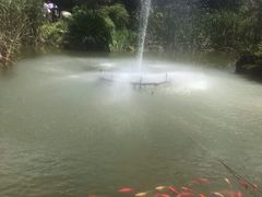 -武汉紫薇都市田园