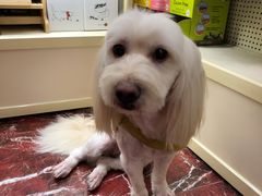 -多卡布奇宠物生活馆(上林世家店)