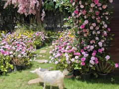 -HERRE·FARM 赫尔露营农场·团建聚会包场