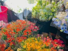 -循礼门鲜花花市(武汉循礼门店)