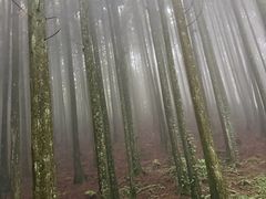 -山王坪喀斯特国家生态公园