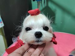 -宠颐生动物医院·小陆分院