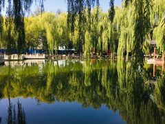 -高庙保安寺
