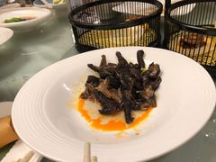 -粤江春·早茶·潮粤菜·宴会(罗湖宝能中心店)