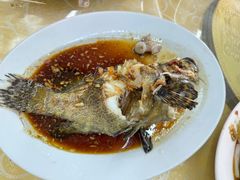 清蒸石斑鱼-徐记饭店(海鲜饭店)