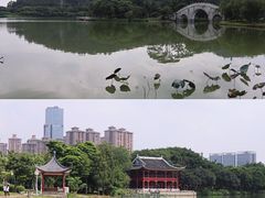 -顺峰山公园