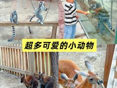 -水上乐园·欢乐世界