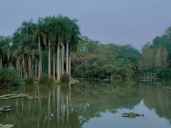 -中国科学院西双版纳热带植物园