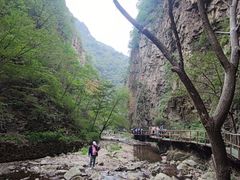 -九龙潭景区