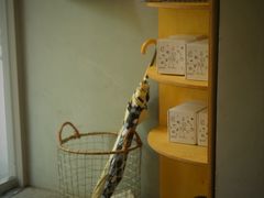 -常识咖啡common sense(春熙路店)