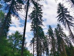 -硗碛藏寨·神木垒景区