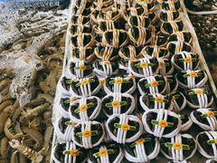 -南沙十九涌渔人码头-南门