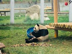 -西安秦岭野生动物园