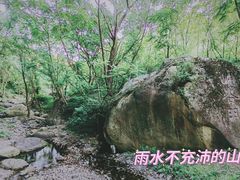 -云岫谷游猎自然风景区