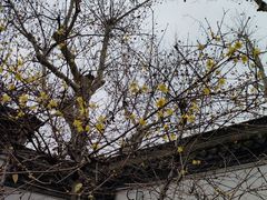 -浙江省博物馆(孤山馆区)