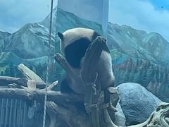 -武汉动物园