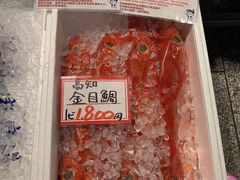 -黑潮市场