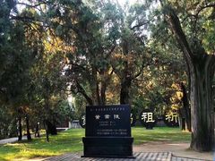 -黄帝陵