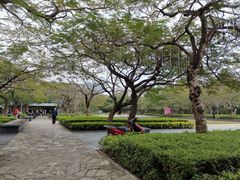 -缘生态云南菜·野生菌庭院餐厅(华侨城店)