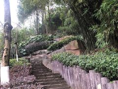-重庆彩云湖湿地公园