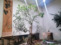 -成川茶店·潮汕工夫浓茶(万象店)