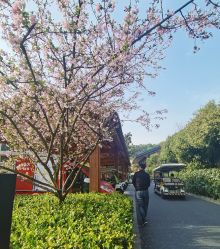 -尚圣月子会所·庄园式月子中心(萧山湘湖店)