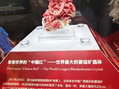 -湖南省地质博物馆