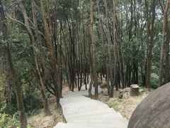 -火炉山森林公园