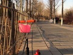 -东升八家郊野公园