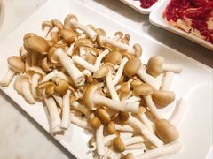 -食潮汕头鲜牛馆(望京保利店)