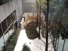 -陆家嘴世纪金融广场