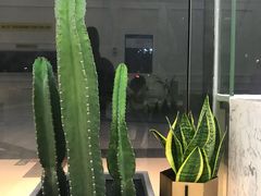 -DOPAMINE多巴胺·甜品面包·生日蛋糕(国贸店)