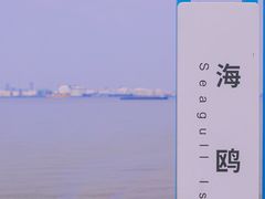 -海鸥岛