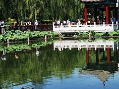 -莲花池公园
