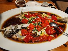 -丹江渔村(望京店)