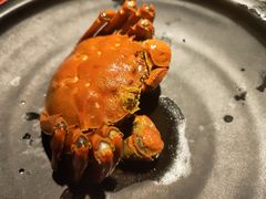 -沪小胖小龙虾(淮海中路旗舰店)