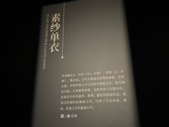 -马王堆汉墓遗址