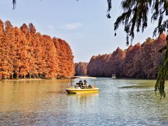 -上海海湾国家森林公园