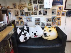 -严国平动物医院(德政总院)