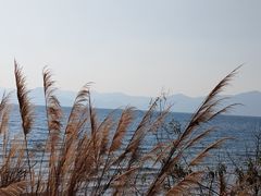 -月亮湾湿地公园
