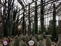 -南山植物园