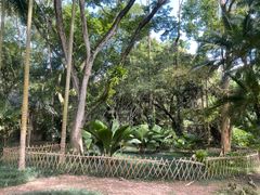 -中国科学院西双版纳热带植物园